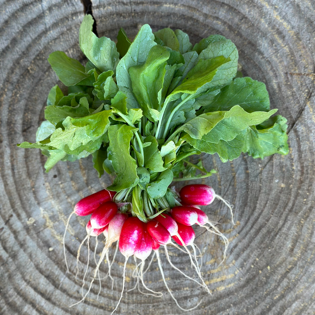 Radicle Roots Online Farm Store – Radicle Roots Farm