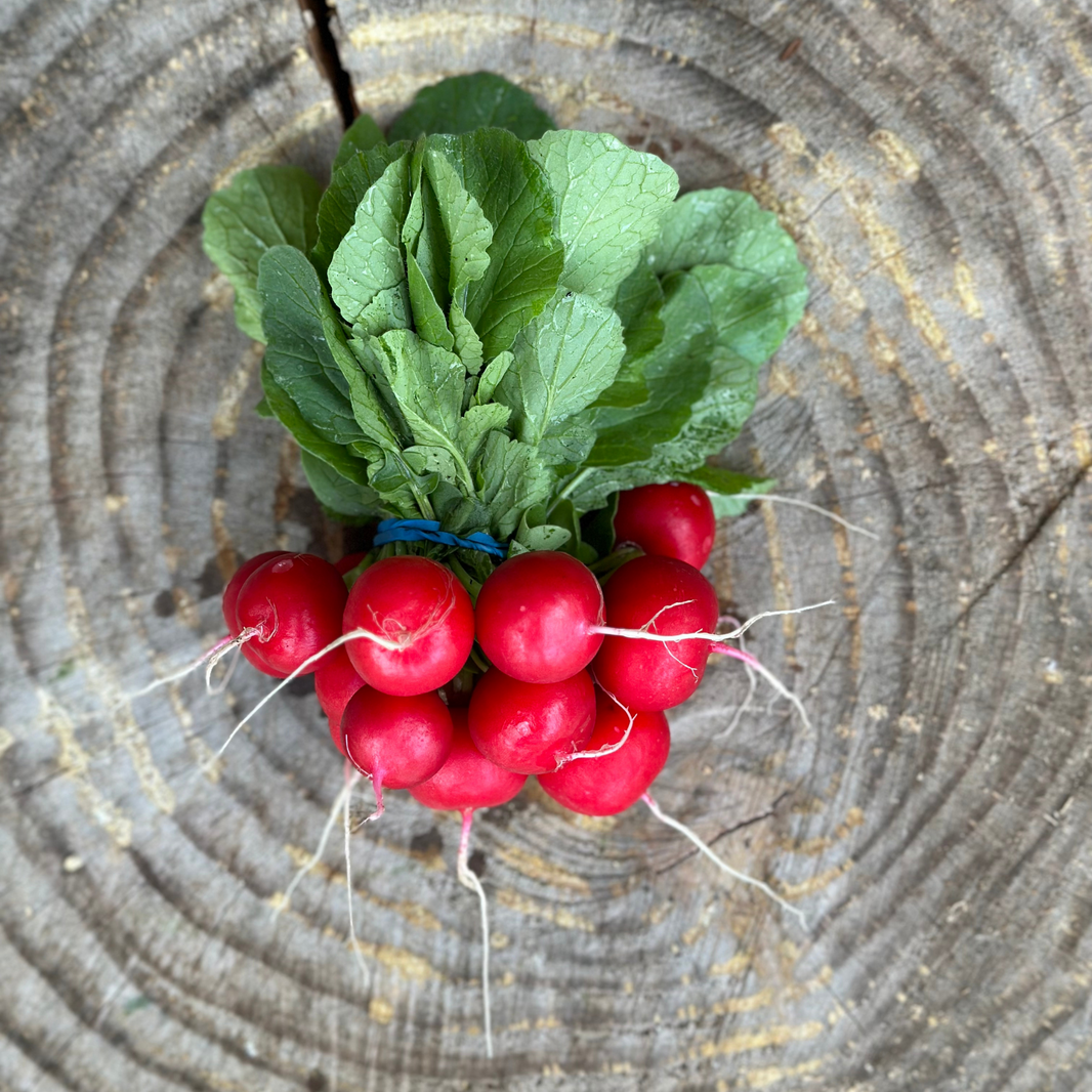 Radicle Roots Online Farm Store – Radicle Roots Farm